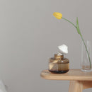 Xiaomi SOLOVE Mini Humidifier Home Office Car Air Humidifier Purifier USB Rechargeable Mute Anion Mist Maker