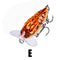 ZANLURE 1Pcs 4cm/4g Popper Artificial Insect Sytle Topwater Fishing Lure 8