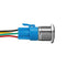 19mm 5Pin Metal Self-locking Switch 3V Red LED ON-OFF Push Button Switch With Wire Waterproof