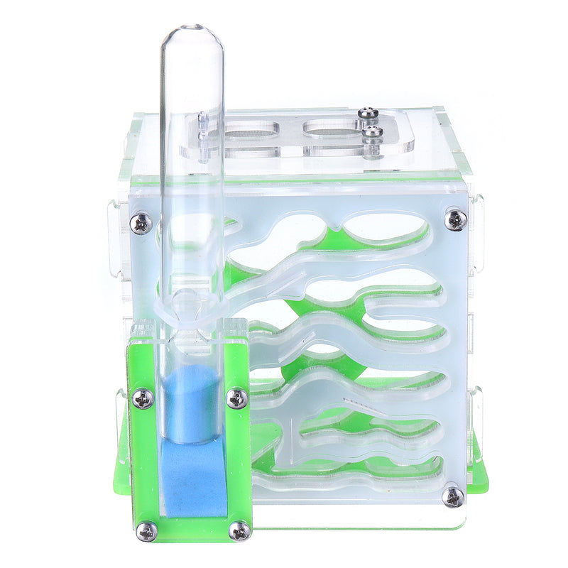 Acrylic Ant Nest Housing Farm Ants Nest with Feeding Area Display Living Box