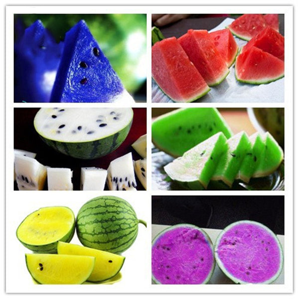 Egrow 50Pcs/Pack Watermelon Seeds Garden Colorful Edible Green Yellow White Watermelon Seeds