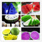 Egrow 50Pcs/Pack Watermelon Seeds Garden Colorful Edible Green Yellow White Watermelon Seeds
