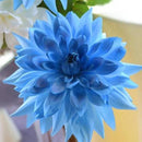 Egrow 10Pcs/Pack Blue Dah lia Seeds Gardening Perennial Pinnata Bonsai Plant Flower Seeds