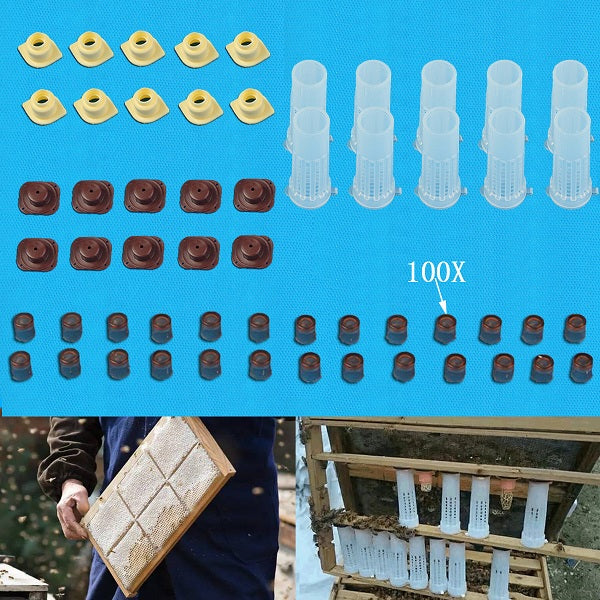 Rearing Cupkit Box Cupularve Tools Bee Keeper Tools Apiculture Bee Tool Set Beekeeping