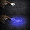 XANES U06 Portable Handheld Tactical Ultraviolet Purple Light UV LED Flashlight AAA