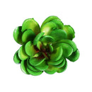 10Pcs PVC Artificial Succulent Flocking Plants Foliage  Landscape Garden Decorations