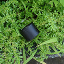 WainLight H1802 LED Flashlight Outdoor Aluminium Alloy Flashlight Led Torch