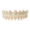 10Pcs Resin Teeth Durable Denture Anti Deformation And Anti Microcracking