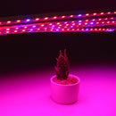 5PCS 50CM SMD5050 Non-waterproof 5:1 LED Strip Light + 5A Power Adapter for Grow Plant Garden DC12V