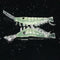 ZANLURE 50 Pcs Soft Rubber Bait 3cm Artificial Fishing Lure Luminous Hrimp Bait