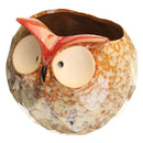 Garden Home Flower Pot Owl Ceramic Crafts Decoration Planter 4.7 Inch Succulent Plants Pot