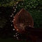 Tree Vine Lamp Copper Wire String Flexible LED Mains Socket Micro Silver Wire Copper Fairy String Light