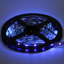 5M UV SMD2835 395-405NM Purple 300 LED Non-Waterproof Strip Light Kit + Connector + Power Supply 12V