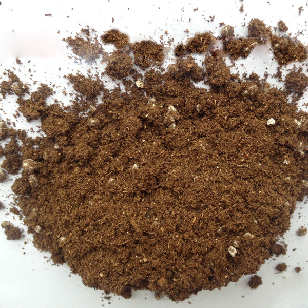 9 Holes Plastic Seedling Box Planter with Mixture Soil Kit for Succulent Plant Sowing