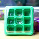 9 Holes Plastic Seedling Box Planter with Mixture Soil Kit for Succulent Plant Sowing