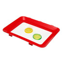 Creative Durable Healthy Food Preservation Tray Storage Container Kitchen Tools