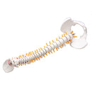 Lifesize Human Vertebral Column Model Spine Anatomy Model Vertebrae Skeleton Nerves Medical Model