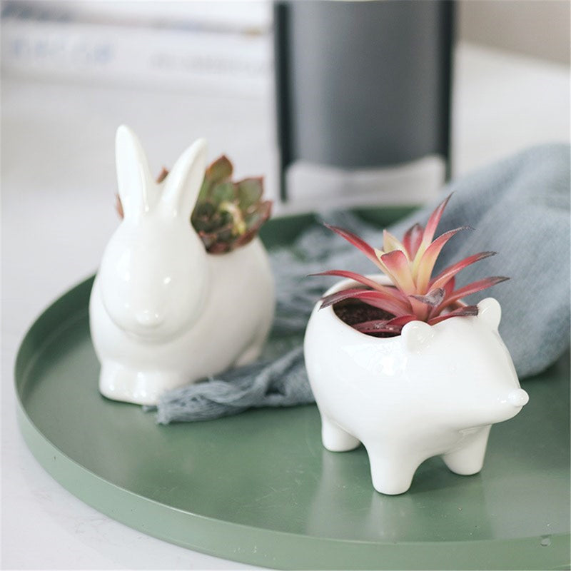 Ceramic Succulent Plant Container Flower Pot Planter Holder Vase Animal Shape Decorations