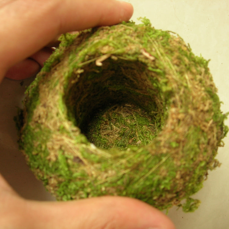 6-18cm Moss Weaved Ball Shape Flower Pot Succulent Planter Green Basket