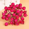 20pcs Artificial Simulation Foam Berry Pomegranate Fruit Bouquet Garlan Wedding Party Decoration