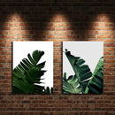 Miico Hand Painted Combination Decorative Paintings Botanic Leaves Paintings Wall Art For Home Decoration
