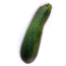 Egrow 20 Pcs/Pack Zucchini Squash Seed Vegetable Fruits Seasons Melon Seeds For Home Garden Planting