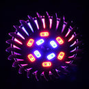 5W E27 6 Red 4 Blue Convex Mirror Grow LED Bulb Greenhouse Plant Seedling Growth Light