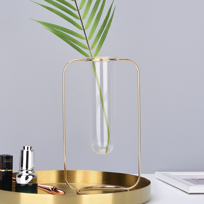Hydroponic Plants Flower Wrought Iron Vase Decoration Transparent Glass Test Tube Hydroponic Dried Flower Stand