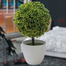 Office Decorative Trees Potted Plant Potted Pot Decorative Decoration