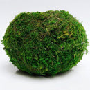 6-18cm Moss Weaved Ball Shape Flower Pot Succulent Planter Green Basket