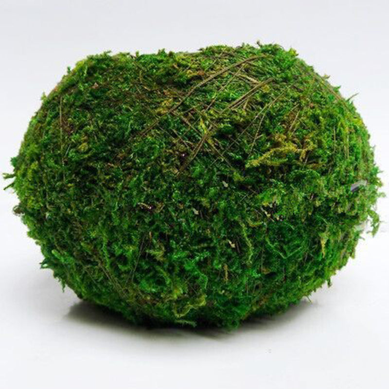 6-18cm Moss Weaved Ball Shape Flower Pot Succulent Planter Green Basket