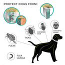 Anti Flea Dog Cat Collar Ticks Mosquitoes Outdoor Protective 8 Months Protection