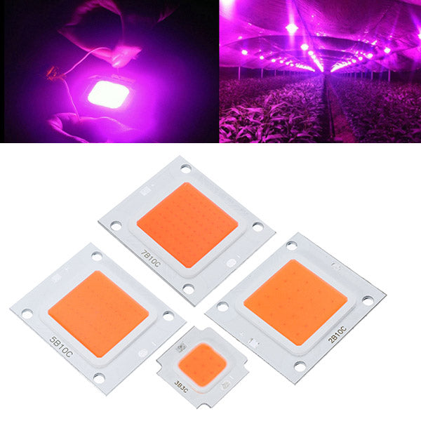 50W 70W 100W LED Cob Indoor Garden Plant Grow Light Chip DIY Full Spectrum Growth Lamp