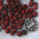 Egrow 10Pcs/Pack Magnolia Seeds Garden Light Fragrant Tree Seeds Ornamental Plants