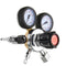 CO2 Regulators Pressure Reducer For Beverage Beer W21.8 Double Gauge Regulator