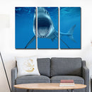 Miico Hand Painted Three Combination Decorative Paintings  White Shark Wall Art For Home Decoration