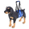 Dog Waist Harness Gog Harness Pet Protection Belt Nylon Clasp Protecting Waist Belt Sport Running Leash Pet Dogs Product