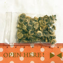 Egrow 30Pcs/Bag Miracle Daisy Seeds Hardy Bonsai Plants Rare Flower Seeds Ornamental Flowers