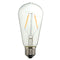 E27 LED 2W Warm White COB LED Filament Retro Edison Light Bulb AC110V AC220V