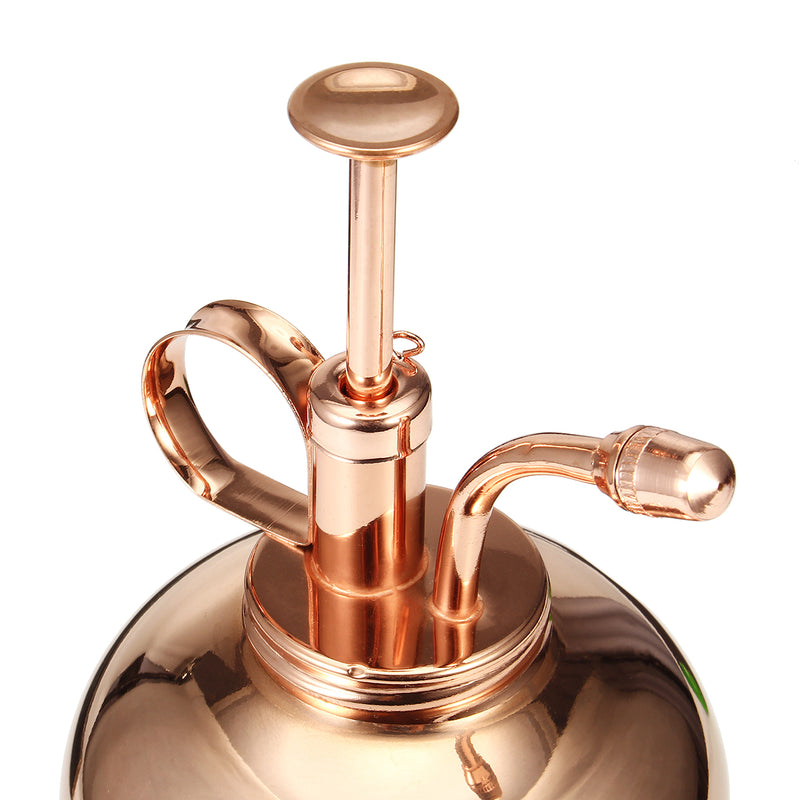 300mL Mini Brass Home Plant Mister Plunger Flower Water Spray Bottle Potted Spraying Watering Can Decorations