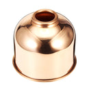 300mL Mini Brass Home Plant Mister Plunger Flower Water Spray Bottle Potted Spraying Watering Can Decorations