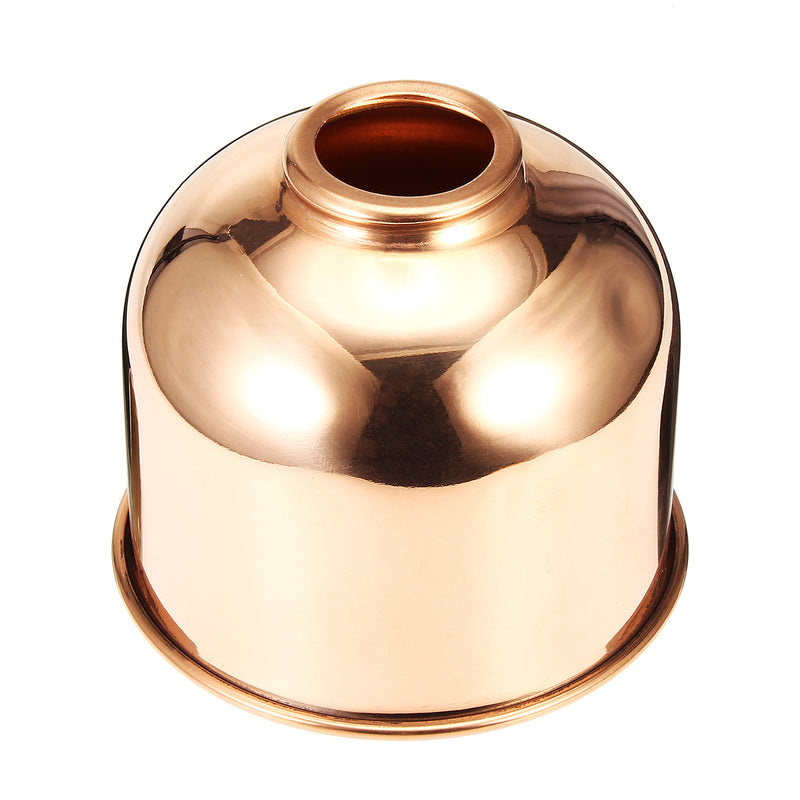 300mL Mini Brass Home Plant Mister Plunger Flower Water Spray Bottle Potted Spraying Watering Can Decorations