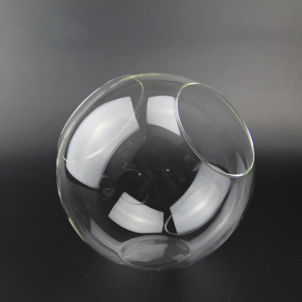 Ball Shaped DIY Moss Micro Landscape Glass Bottle Double Holes Succulent Plants Vase Home Decoration