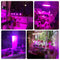 60 126 200 LED Plant Grow Light Bulb 360 Desk Chip Flexible Growth Lamp for Greenhouse Flower
