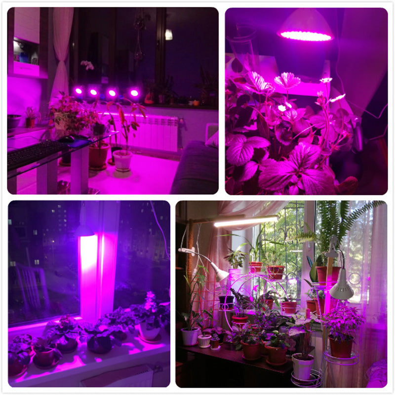 60 126 200 LED Plant Grow Light Bulb 360 Desk Chip Flexible Growth Lamp for Greenhouse Flower