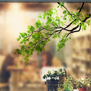 60x58cm Frosted Opaque Glass Window Film Tree Privacy Glass Stickers Home Decor