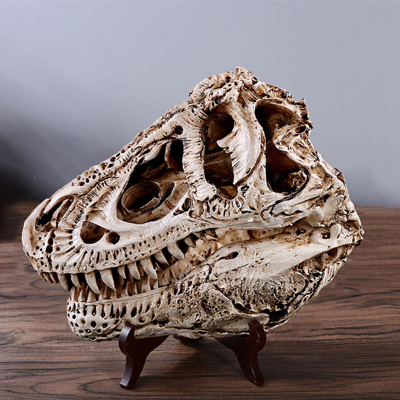 16cm Tyrannosaurus T-Rex Dinosaur Resin Skull Model Collectibles Toys Display Craft Gift