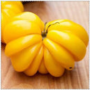 Egrow 100 Pcs/Bag Giant Tomato Seeds Plants Organic Heirloom Plants Vegetables Perennial Non-GMO Plant Pot For Home Garden Planting