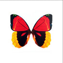 10Pcs 3D Double Pieces Colorful Butterfly Wall Sticker Fridge Magnet Home Decor Art Applique