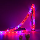 5M 3:1/4:1/5:1 Red:Blue 5050SMD 300LED Waterproof Hydroponic Plant Grow Strip Light DC12V